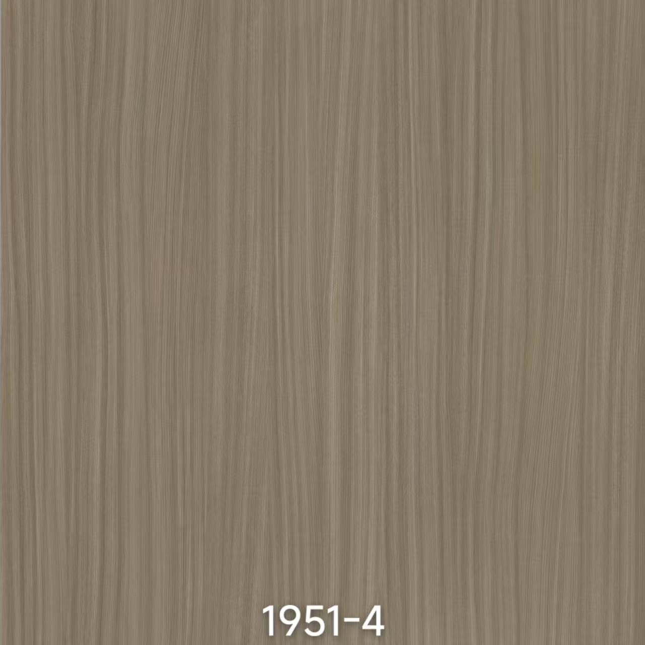 กระดาษเมลามีน 2494-4